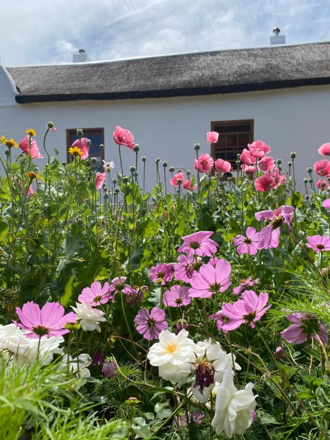 Zeekoegat Historical Homestead Riviersdaal Buitenkant foto